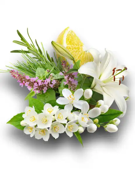 La Femme Clean Fragrance - Clean Fragrances